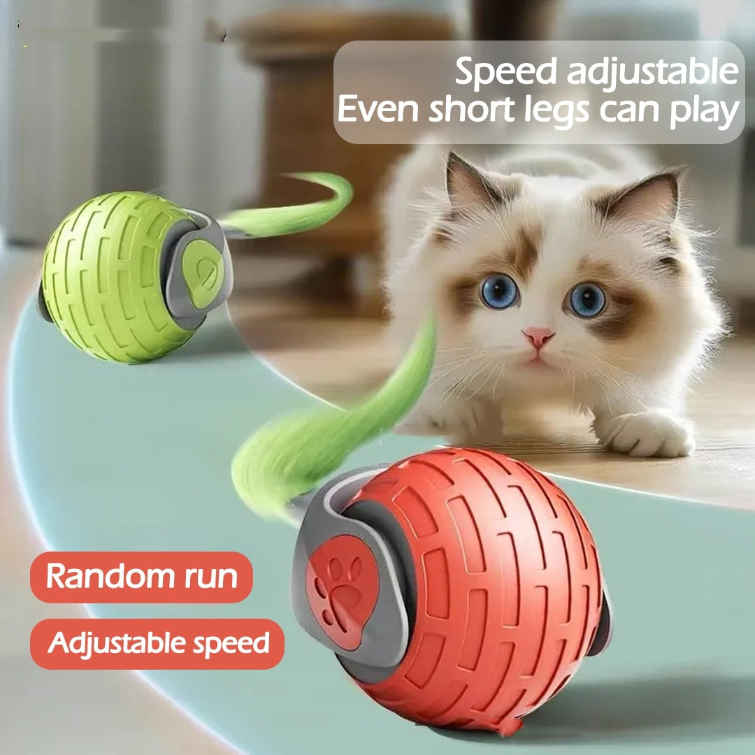 Auto Electric Rolling Ball Toys For Cat Kitty