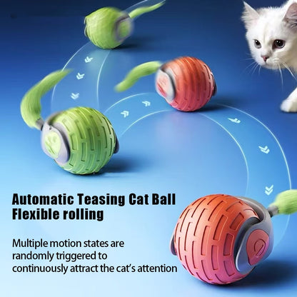 Auto Electric Rolling Ball Toys For Cat Kitty