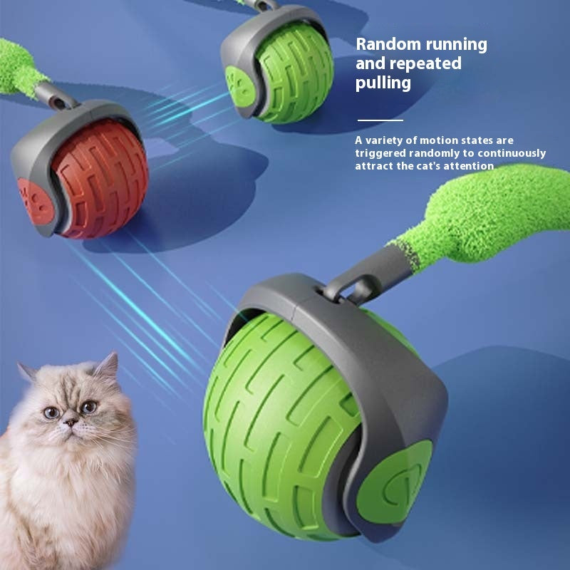 Auto Electric Rolling Ball Toys For Cat Kitty